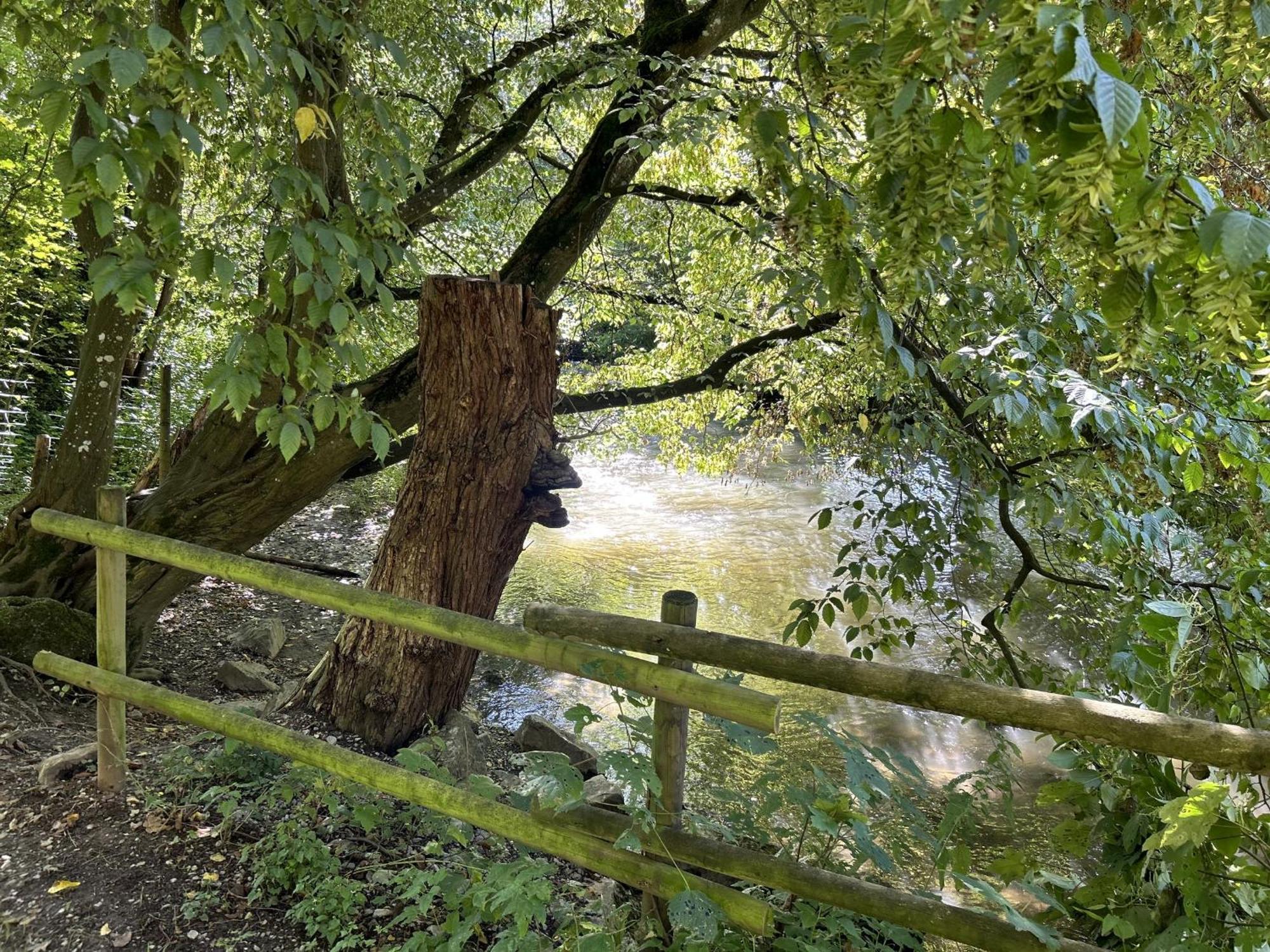 Ferienwohnung Sauerland An Der Ruhr Olsberg Bagian luar foto